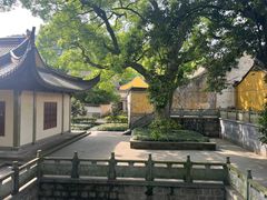 -阿育王寺