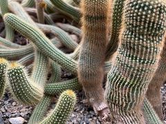 -南山植物园