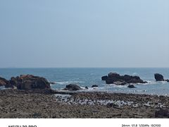 -小麦岛公园