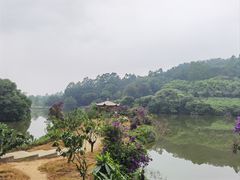 -南国桃园旅游度假区