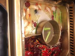 -九鼎轩脆毛肚火锅(商业街店)