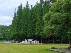 -宜兴龙背山森林公园