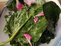 笨菠菜-胡桃里音乐酒馆(东区店)