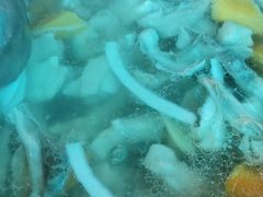 -润泽园椰子鸡(汇一城店)