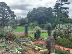 -墨尔本皇家植物园