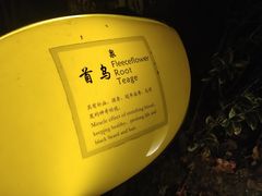 -张家港金凤凰度假村温泉