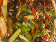 -院8里·小聚园(九眼桥店)