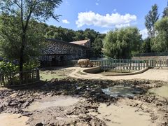 -哈尔滨北方森林动物园