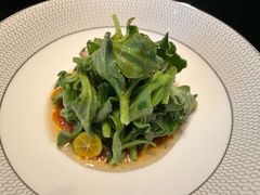 鸡油炒豆苗-海立阁海鲜江浙菜(漕河泾印象城店)