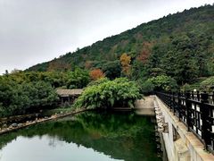-九龙潭景区