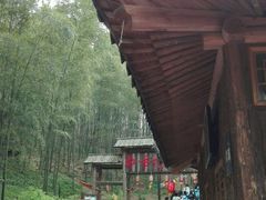 -宁波浙东大竹海景区