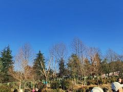 -江南天池