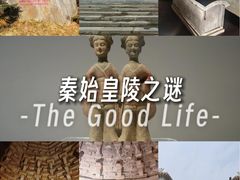 -洛阳古墓博物馆