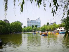 -莲湖公园