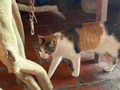 -东南悬空寺方广岩