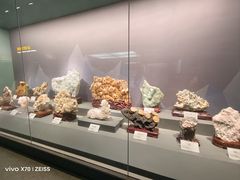 -湖南省地质博物馆