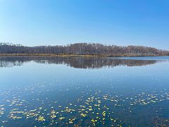 -塞罕坝国家级自然保护区