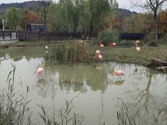 -上方山森林动物世界