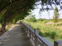 -南通洲际绿博园