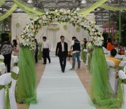 点击看大图 -Sunny喜铺婚礼策划(东部店)