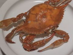 -小螺号海鲜·地道鲁菜(泉城广场店)