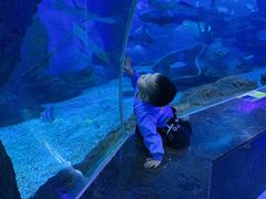 -多彩贵州城极地海洋世界