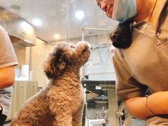 -PETKIT小佩宠物(古北店)