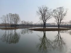 -大兴滨河森林公园