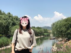 -北京张裕爱斐堡酒庄