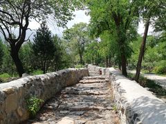 -阳台山自然风景区