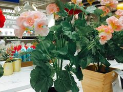 -宜家家居(哈尔滨商场店)