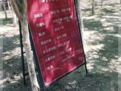 -西青郊野公园
