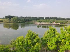 -东郊湿地公园
