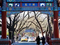 -北京国子监胡同