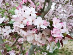 -元大都城垣遗址公园