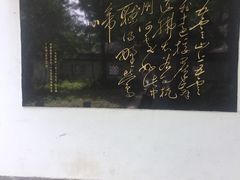 -西湖风景区十里琅珰-五云山