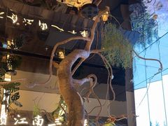 -桂满陇·海市蜃楼·黑金(国金店)