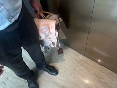 -三亚山海天JW万豪酒店