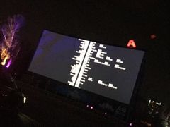 -枫花园汽车电影院(朝阳公园店)
