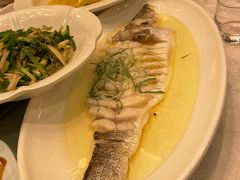 蒸海鲈鱼-同济大酒店(绿宝广场店)