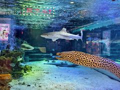 -凯德广场(学府店)