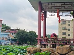 -长洲岛