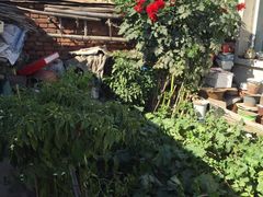 -糖潮量贩KTV(高新万达广场店)