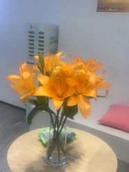 -DX HAIR SALON·发现未知美发沙龙