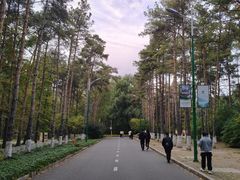 -黑龙江省森林植物园