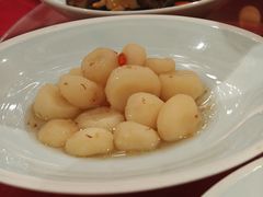 -同庆楼(滨湖万达广场店)