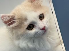 -昆山招商花园城