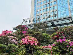-桂林碧玉国际大酒店-碧玺茶餐厅