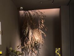 -安屿an·spa(卓悦中心商场店)