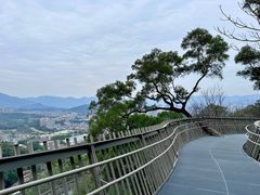 -福道